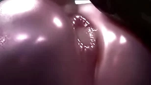 Scalie glory crack